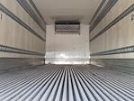 Used 2019 International DuraStar 4300 Refrigerated Body for sale #861633 - photo 9