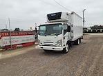 Used 2018 Isuzu NQR Refrigerated Body for sale #222638 - photo 1