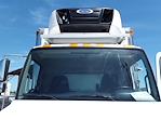 Used 2018 Hino 338 Single Cab 4x2 20' Refrigerated Body for sale #682658 - photo 7