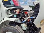 Used 2019 Freightliner M2 106 Conventional Cab Box Truck for sale #860905 - photo 10