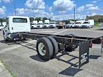 Used 2019 International MV Cab Chassis for sale #240270 - photo 2