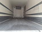 Used 2020 International MV Refrigerated Body for sale #248758 - photo 9