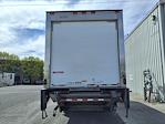 Used 2019 International DuraStar 4300 Refrigerated Body for sale #812277 - photo 6