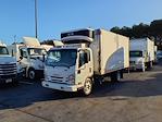 Used 2019 Isuzu NPR-XD Refrigerated Body for sale #246736 - photo 4