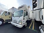 Used 2016 Isuzu NQR Regular Cab 4x2 Refrigerated Body for sale #670571 - photo 1