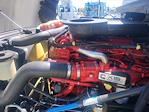 Used 2020 International LT Cummins X15, Signature Semi Truck for sale #274570 - photo 8