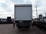 Used 2019 International DuraStar 4300 Cab Chassis for sale #813992 - photo 5