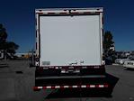 Used 2020 International MV Refrigerated Body for sale #277234 - photo 6