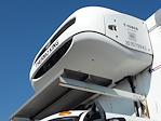 Used 2020 International MV Refrigerated Body for sale #278278 - photo 7
