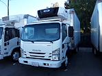 Used 2016 Isuzu NQR Refrigerated Body for sale #662449 - photo 1
