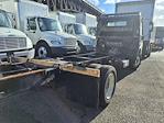 Used 2019 Hino 195 Single Cab Cab Chassis for sale #839457 - photo 6