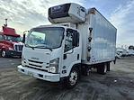 Used 2019 Isuzu NPR-XD Refrigerated Body for sale #862942 - photo 4