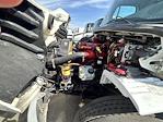 Used 2019 Freightliner M2 106 Conventional Cab Cab Chassis for sale #880932 - photo 11
