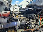 Used 2020 Freightliner Cascadia Detroit Diesel DD15 Semi Truck with Sleeper Cab for sale #247947 - photo 9