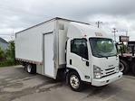 Used 2019 Isuzu NQR Regular Cab Box Truck for sale #897674 - photo 4