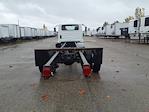 Used 2020 International MV Cab Chassis for sale #281119 - photo 6