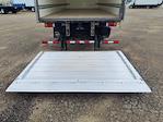 Used 2020 Isuzu FTR Regular Cab Box Truck for sale #281345 - photo 10