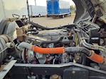 Used 2018 Isuzu FTR Regular Cab Box Truck for sale #786386 - photo 13