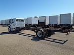 Used 2019 Freightliner M2 106 Conventional Cab Cab Chassis for sale #810095 - photo 6