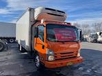 Used 2020 Isuzu NQR Refrigerated Body for sale #271070 - photo 4