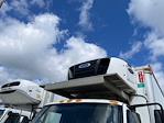 Used 2016 International DuraStar 4300 Refrigerated Body for sale #733464 - photo 7