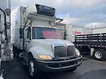 Used 2019 International DuraStar 4300 Refrigerated Body for sale #815091 - photo 4