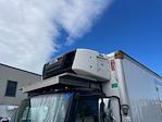 Used 2019 Freightliner M2 106 Refrigerated Body for sale #822485 - photo 7