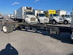 Used 2019 Hino 268A Single Cab Cab Chassis for sale #873694 - photo 10