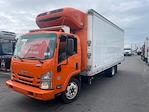 Used 2019 Isuzu NQR Refrigerated Body for sale #897334 - photo 1