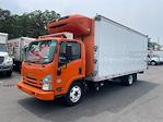 Used 2019 Isuzu NQR Refrigerated Body for sale #897939 - photo 1