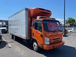 Used 2019 Isuzu NQR Refrigerated Body for sale #897943 - photo 4