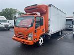 Used 2019 Isuzu NQR Refrigerated Body for sale #897944 - photo 1
