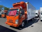 Used 2019 Isuzu NQR Refrigerated Body for sale #897950 - photo 1