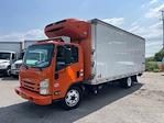 Used 2019 Isuzu NQR Refrigerated Body for sale #897958 - photo 1