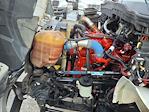 Used 2019 International DuraStar 4300 Cab Chassis for sale #811610 - photo 9