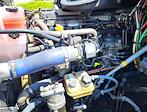 Used 2019 Freightliner Cascadia Detroit Diesel DD15 Semi Truck with Sleeper Cab for sale #862631 - photo 8