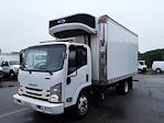 Used 2020 Isuzu NQR Refrigerated Body for sale #272827 - photo 1