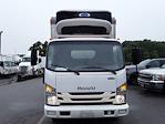 Used 2020 Isuzu NQR Refrigerated Body for sale #272827 - photo 3