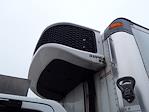 Used 2020 Isuzu NQR Refrigerated Body for sale #272827 - photo 7