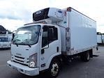 Used 2017 Isuzu NQR Refrigerated Body for sale #682964 - photo 1
