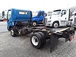 Used 2019 Hino 155 Cab Chassis for sale #862390 - photo 2