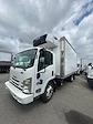 Used 2017 Isuzu NQR Refrigerated Body for sale #670467 - photo 4