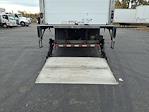 Used 2020 International MV Refrigerated Body for sale #256005 - photo 14