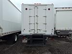 Used 2019 International DuraStar 4300 Refrigerated Body for sale #811801 - photo 6