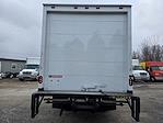 Used 2019 Isuzu NPR-HD Regular Cab Box Truck for sale #264907 - photo 6