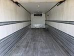 Used 2016 International DuraStar 4300 Refrigerated Body for sale #380954 - photo 9