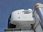 Used 2016 International DuraStar 4300 Refrigerated Body for sale #643489 - photo 7