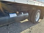Used 2016 Isuzu NQR Regular Cab Box Truck for sale #660745 - photo 12