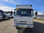 Used 2019 Isuzu NQR Regular Cab Box Truck for sale #808867 - photo 3
