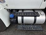 Used 2019 International DuraStar 4300 Refrigerated Body for sale #812293 - photo 13